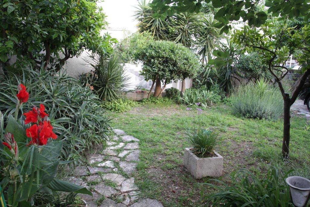 מאקרסקה Casa Galleria Rica מראה חיצוני תמונה